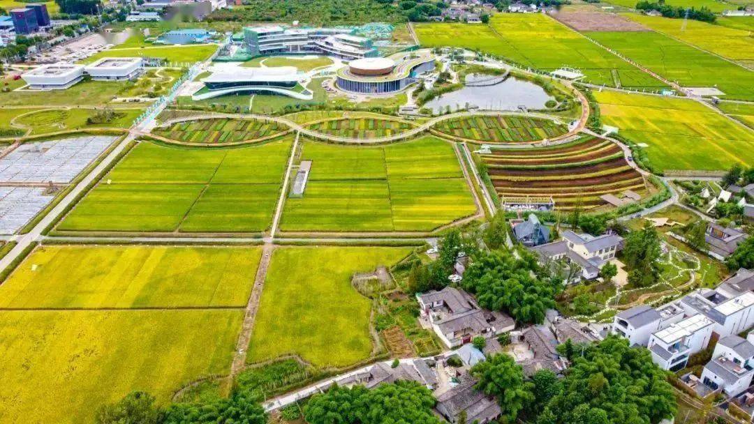 岳池现代农业产业园：坚守融合发展 打造天府粮仓新标杆