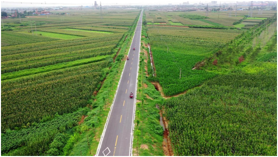 河南投资集团：凝聚创新要素形成发展合力 推动河南创投再上新台阶