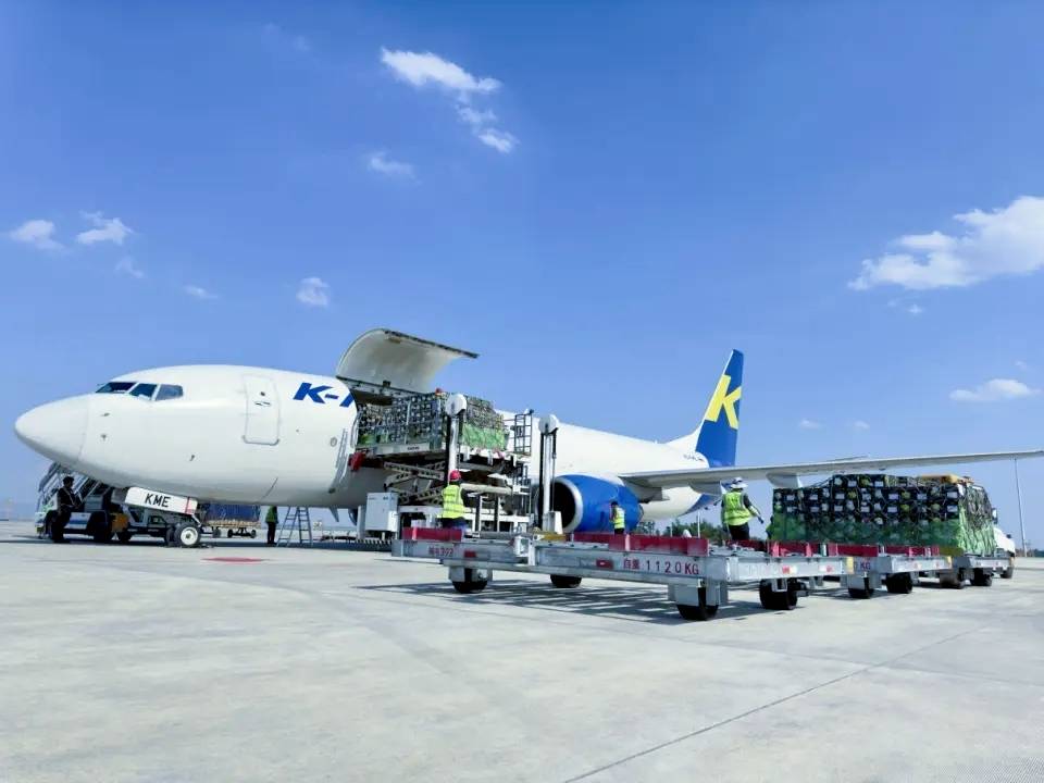 中金资本董事长单俊葆：私募股权市场遇冷 上半年基金募集量同比降近五成