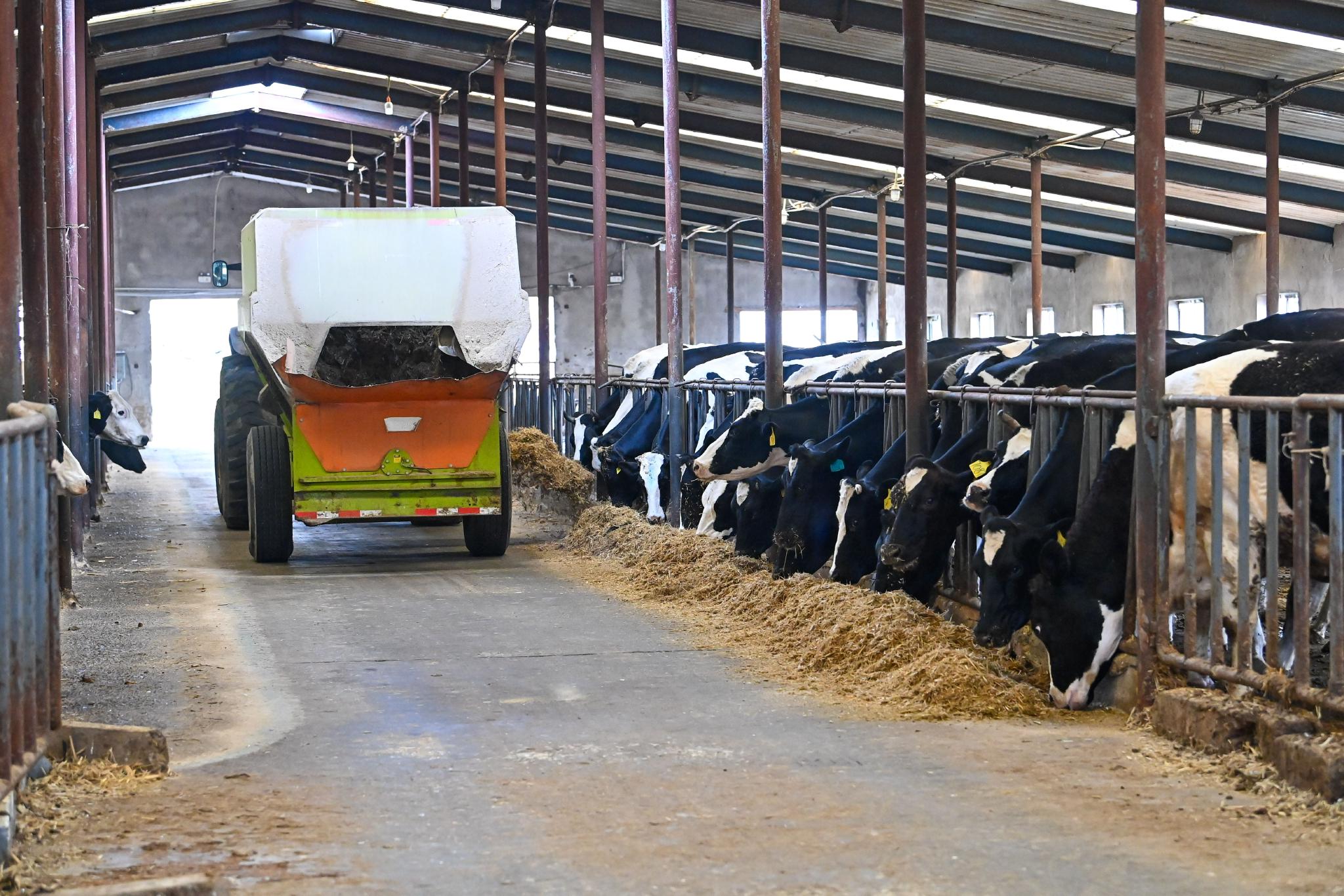 经济光明论丨赵冬昶：构建汽车行业可信数据空间 赋能全产业链提质升级