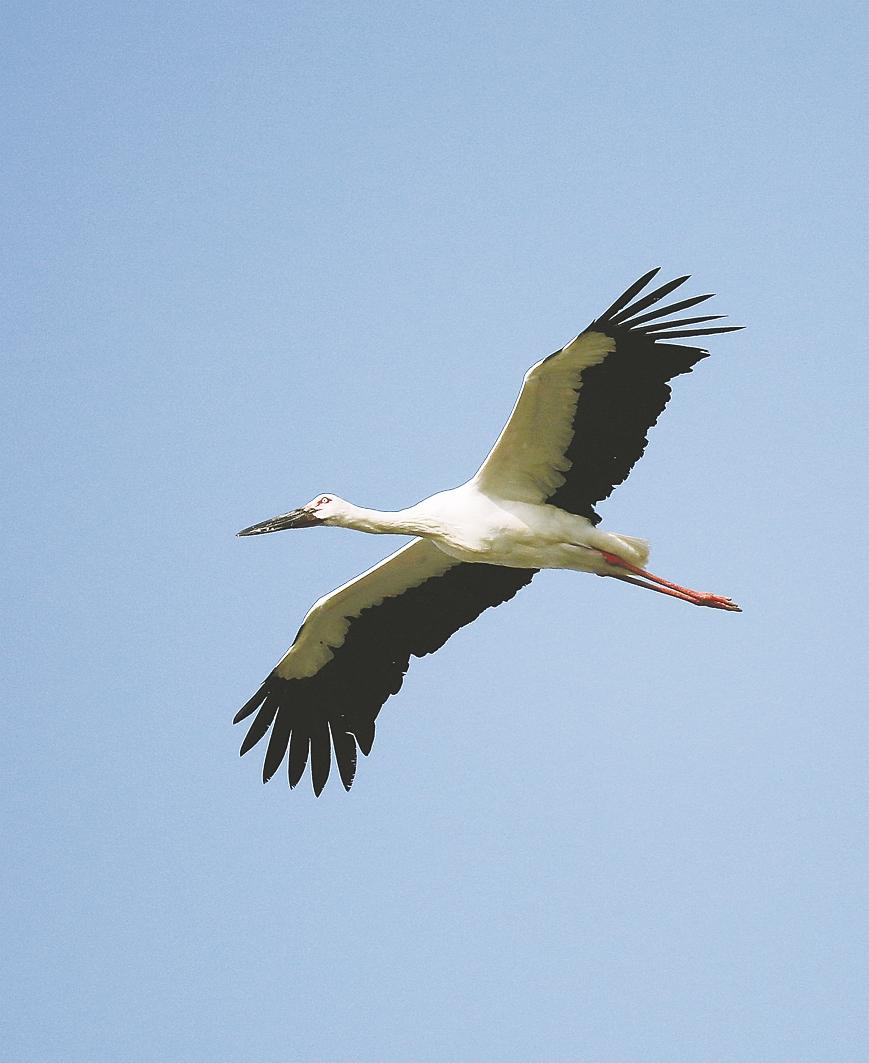 立方风控鸟·早报(2月10日)