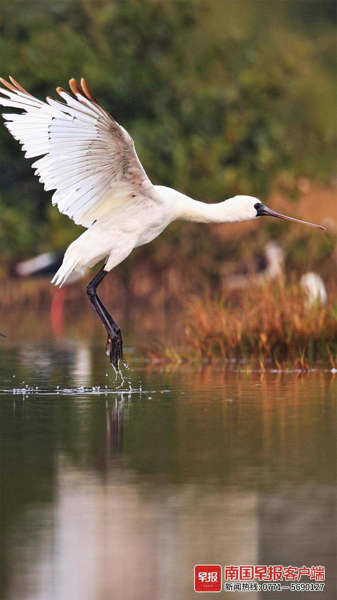 立方风控鸟·早报（3月1日）