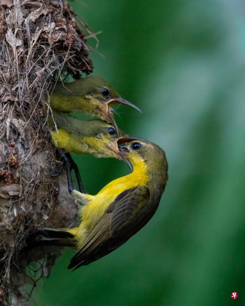 立方风控鸟·早报（3月1日）