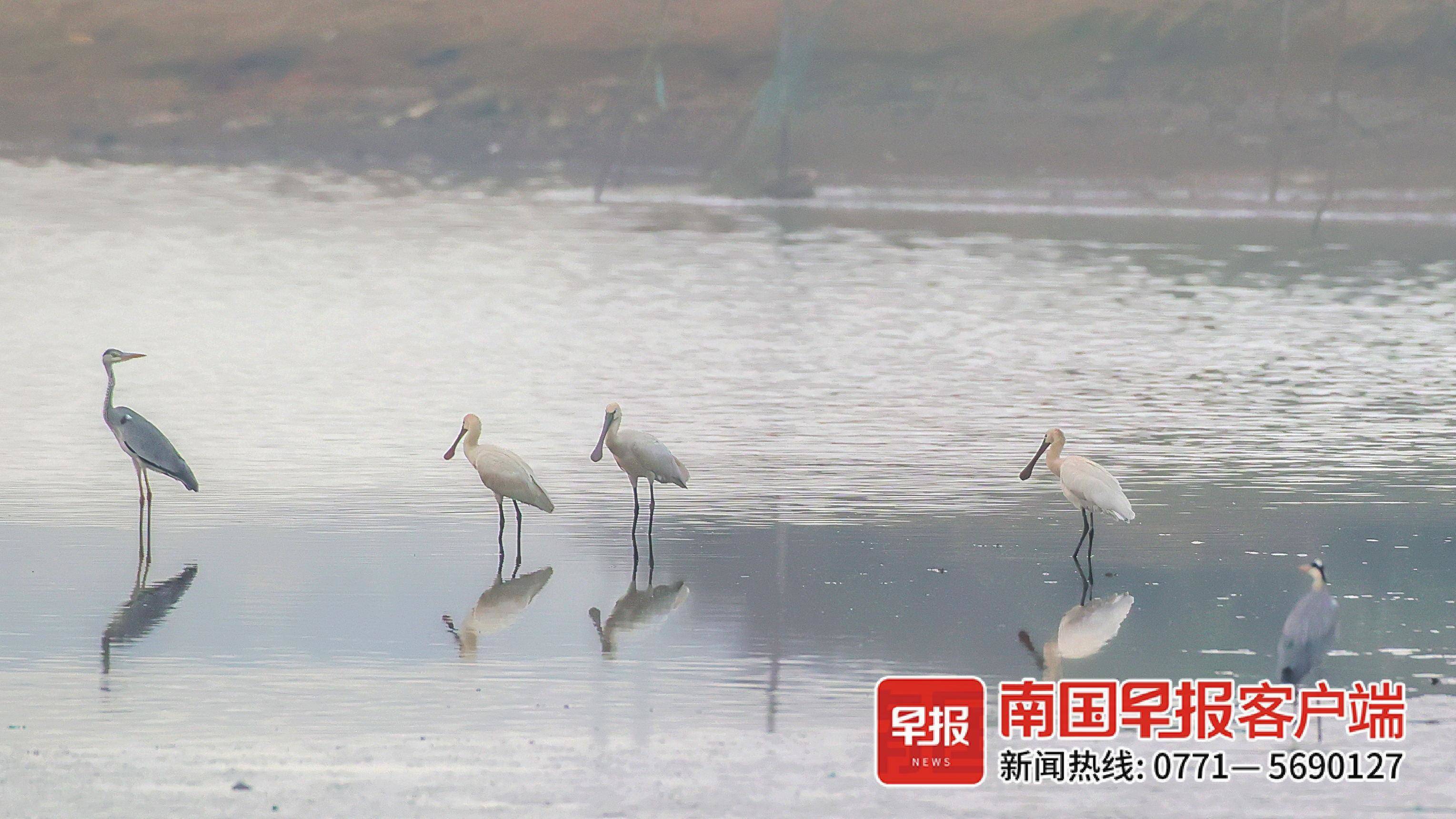 立方风控鸟·早报（3月13日）