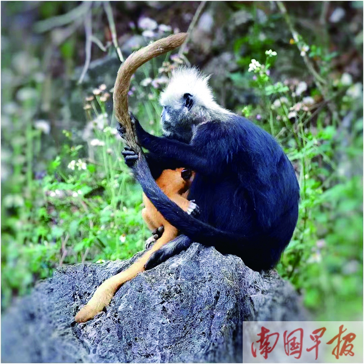 立方风控鸟·早报（3月14日）