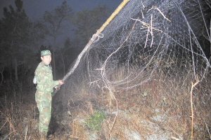 立方风控鸟·早报（3月18日）