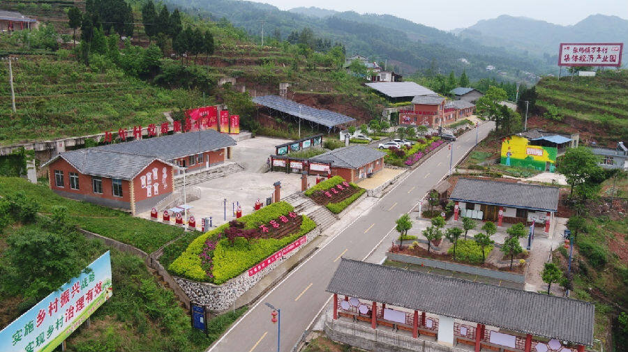 驻村帮扶调研丨深化乡村发展 浇出“产业新花”