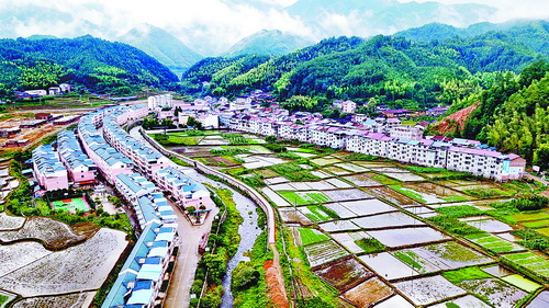 驻村帮扶调研丨扎根桔橙沃野 绘就乡村建设美丽蓝图