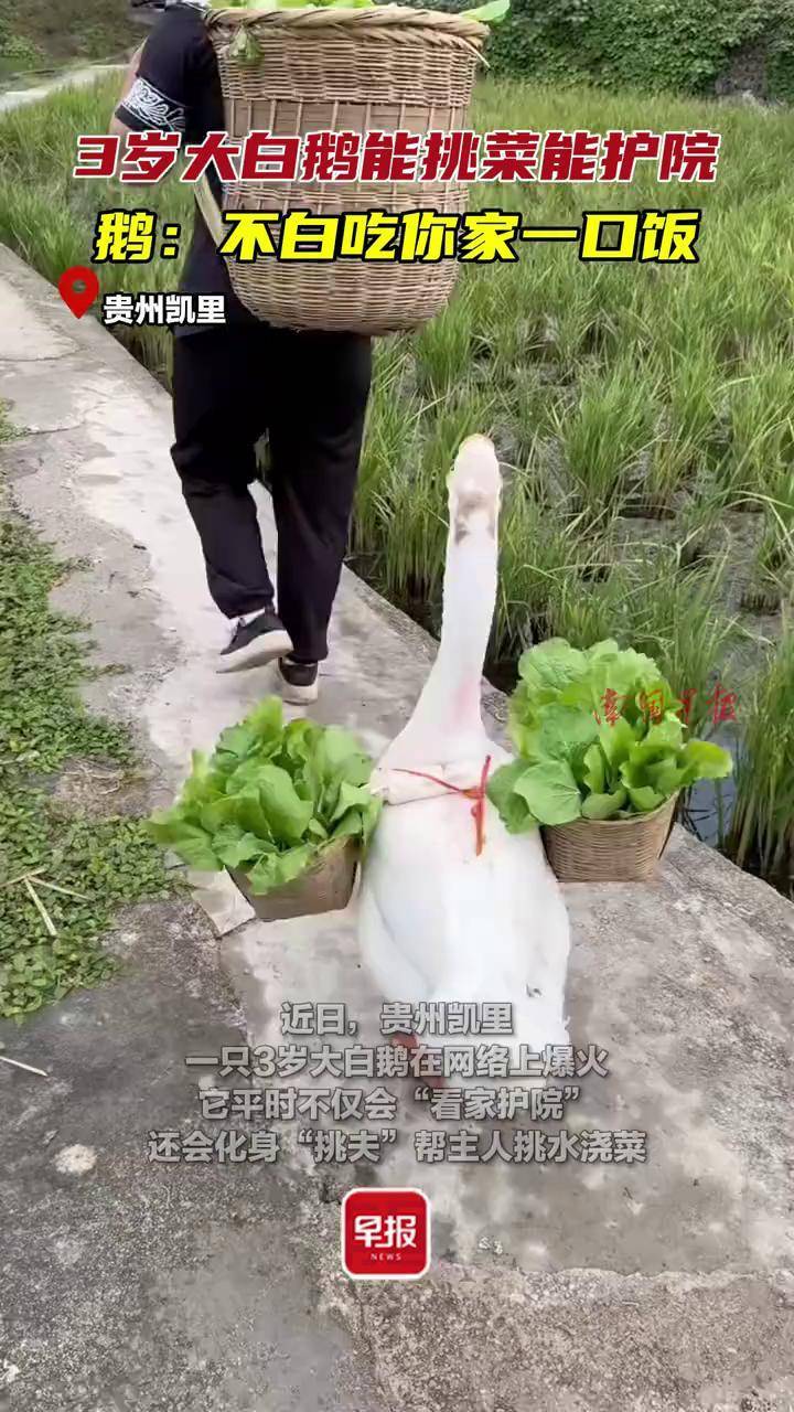 立方风控鸟·早报（3月29日）