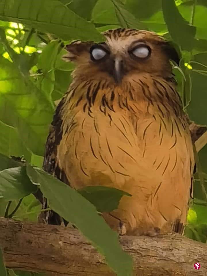 风控鸟·早报（4月10日）