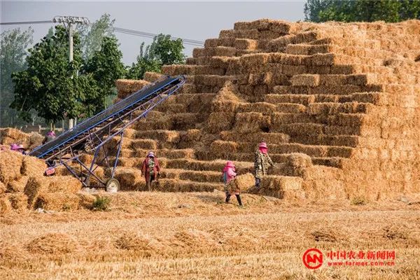 全国专项债收储规模破1800亿元 河南收储项目已超百宗