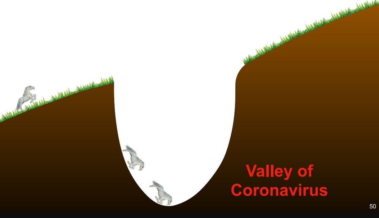 孙正义投的独角兽Plenty，倒了