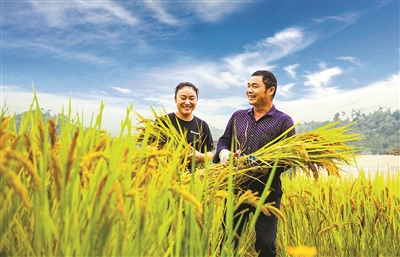 专家谈丨张翼：朝着共同富裕目标扎实迈进