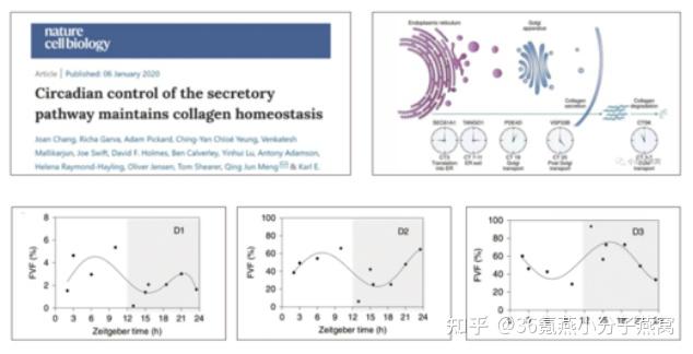 长寿编码破局抗衰赛道 中西结合受市场认可
