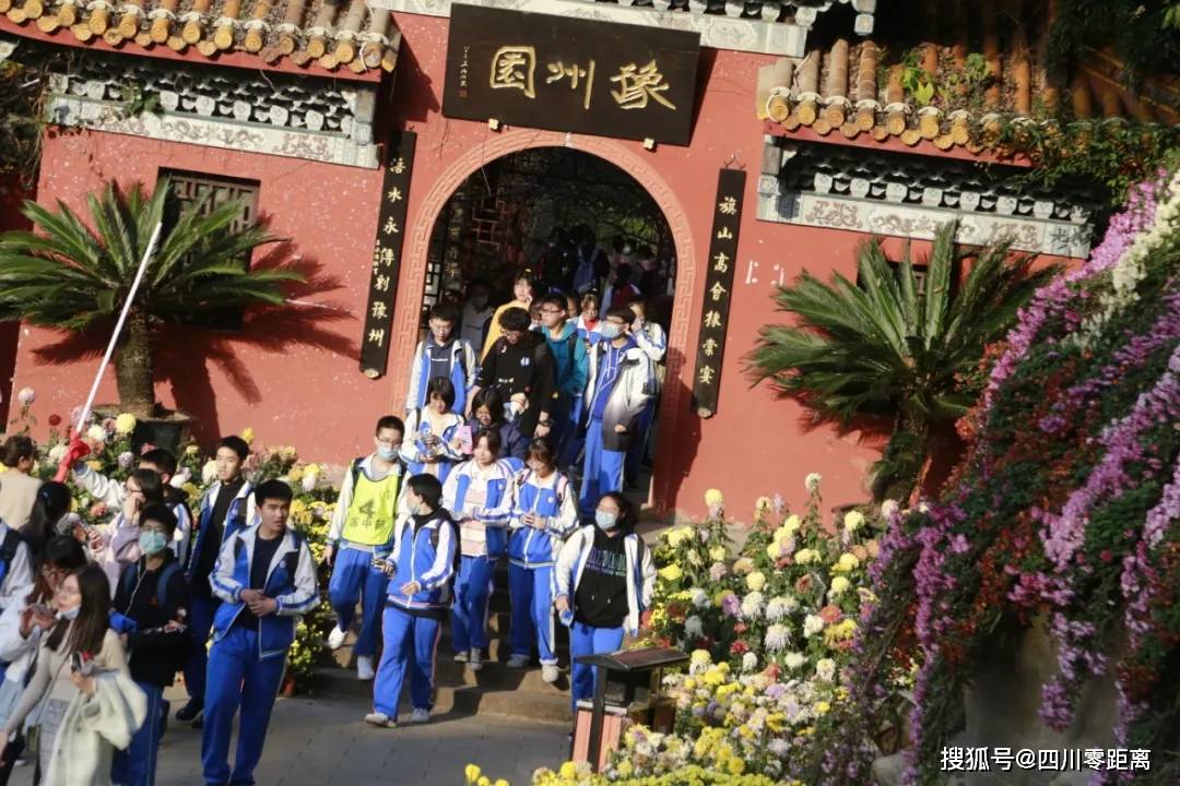 寓教于乐新范式！看比赛如何激活学子创新内驱力