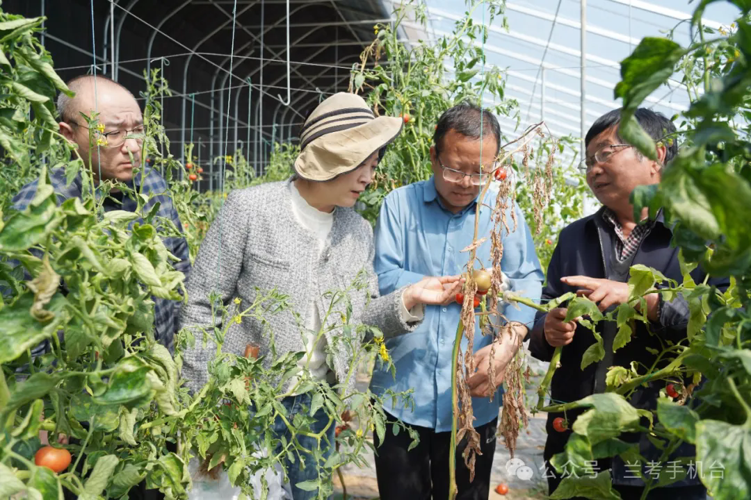 从“菜篮子”到“钱袋子”！宾县反诈守护“家的温暖”