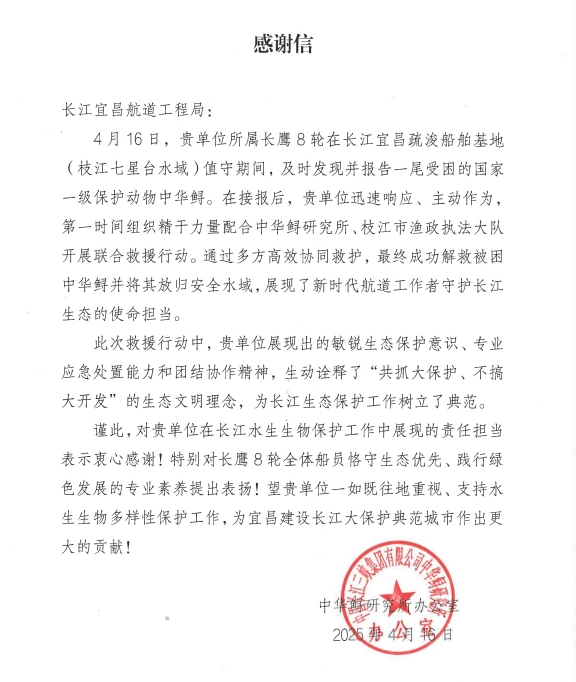 从澡堂创业到9.72亿营收：长鹰硬科的新材料突围之路