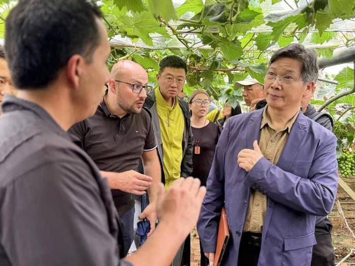 从田间到云端:数字农业创新训练营探索农业新路径