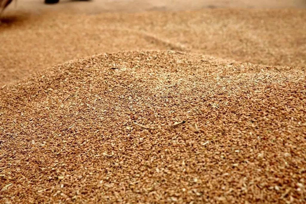 时报观察丨政策红利收实效 创投市场添暖意