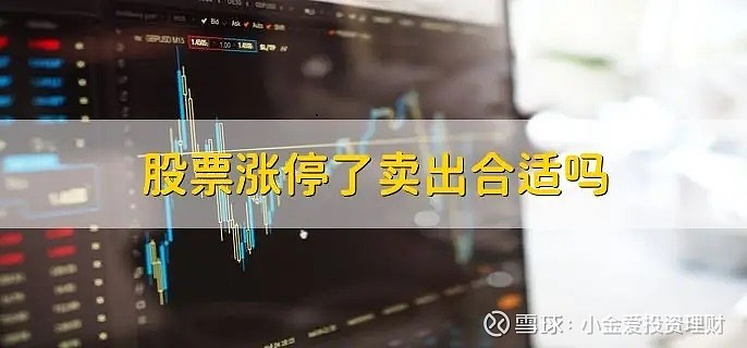 可转债供需再平衡 小众市场演绎大行情