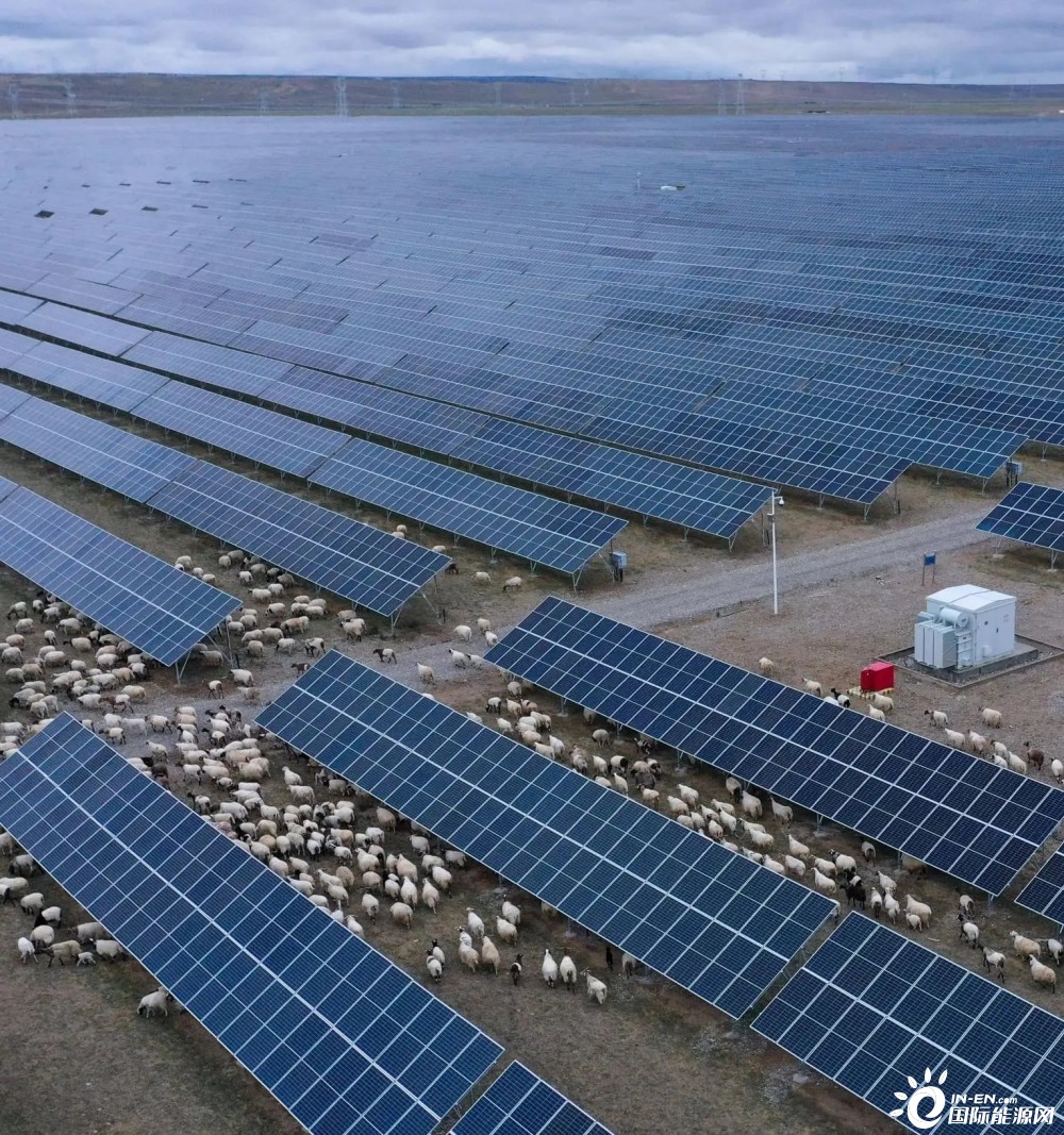 惠天热电：公司被推荐为70万千瓦风电项目业主