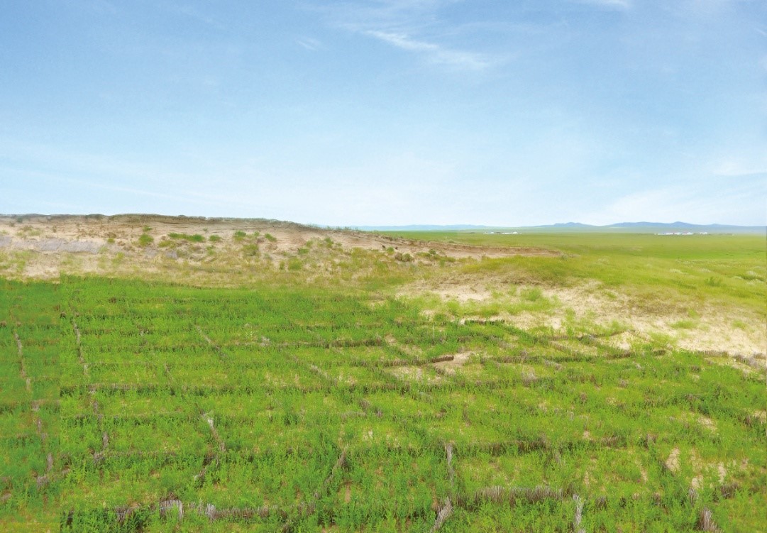 创新品种多 绿色债券发展势头足