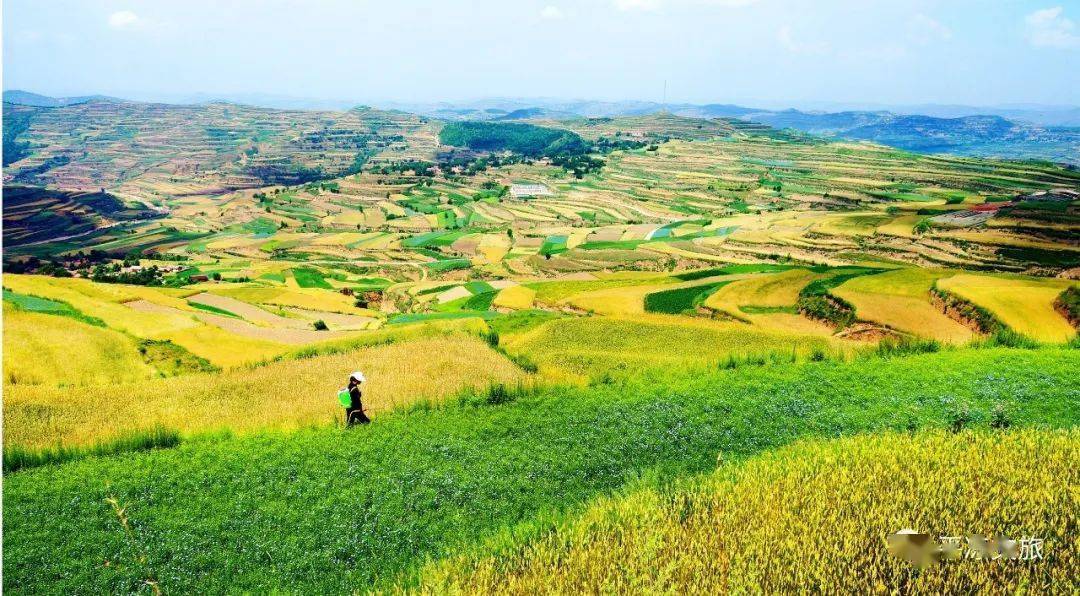 藏蓝青山共年轮： 魏锦鹏的2000公里生态守护路