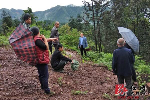 土地纠纷终化解 清河派出所调解获赠锦旗