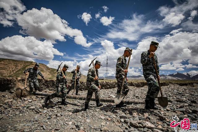 道外公安：“青蓝相接”从警路 忠诚守护者的本色传承