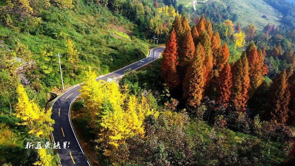 亲水纳凉正当时 冰城公安多举措护航夏日时光