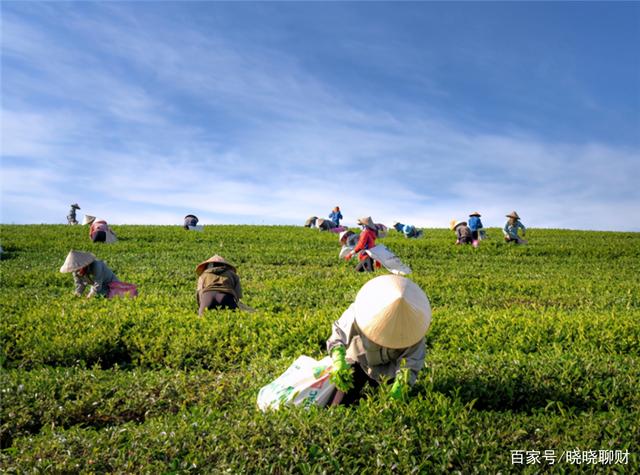 上海市绿色外债试点业务指引征求意见 非金融企业借用的外债原则上应调回境内