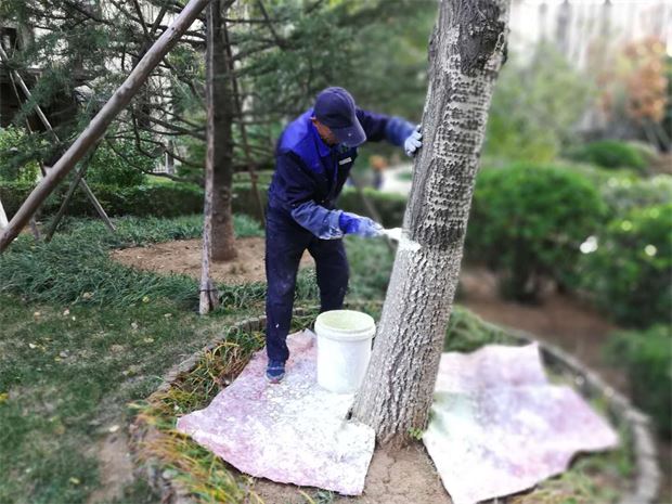 街头巷陌传温情 道外分局民警“搭把手”让守护更有温度