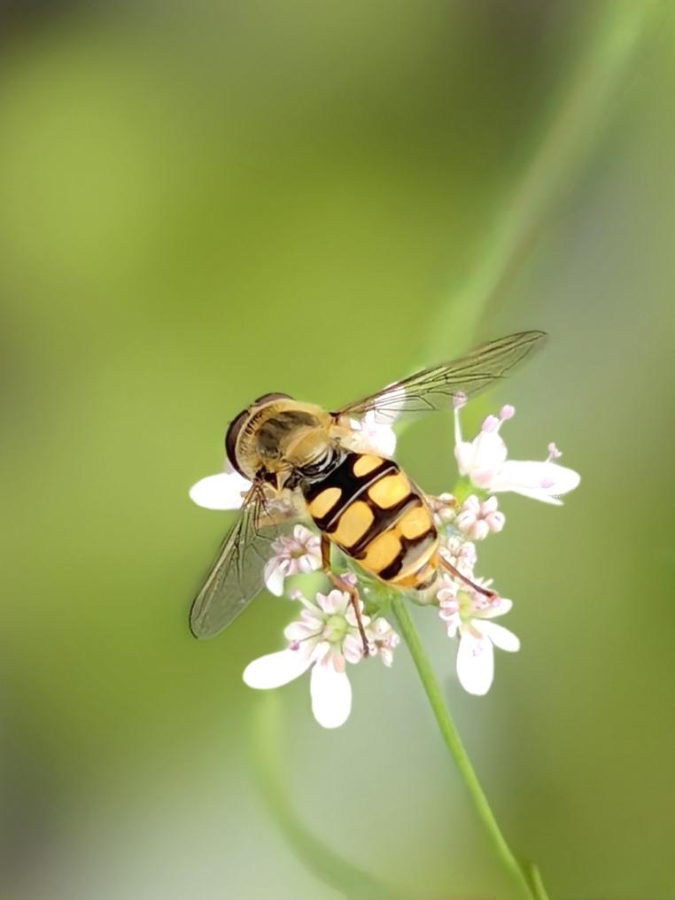 财政部：7月全国发行新增债券7032亿元