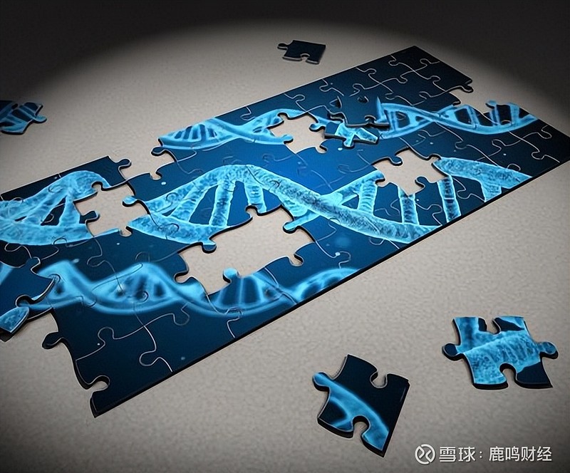 【环球财经】巴西国家石油公司发行20亿美元全球债券