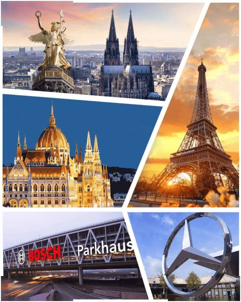 道外分局组织集中收看纪念中国人民 抗日战争暨世界反法西斯战争 胜利80周年大会