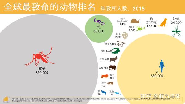 “谷歌杀手”，估值涨至200亿美元！