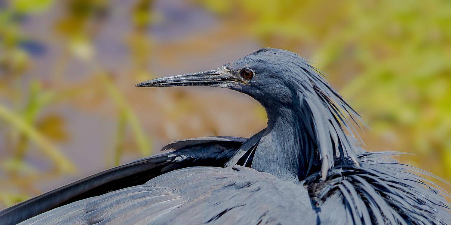 紧盯“捕鱼黑手” 冰城公安开展24小时水域保卫战