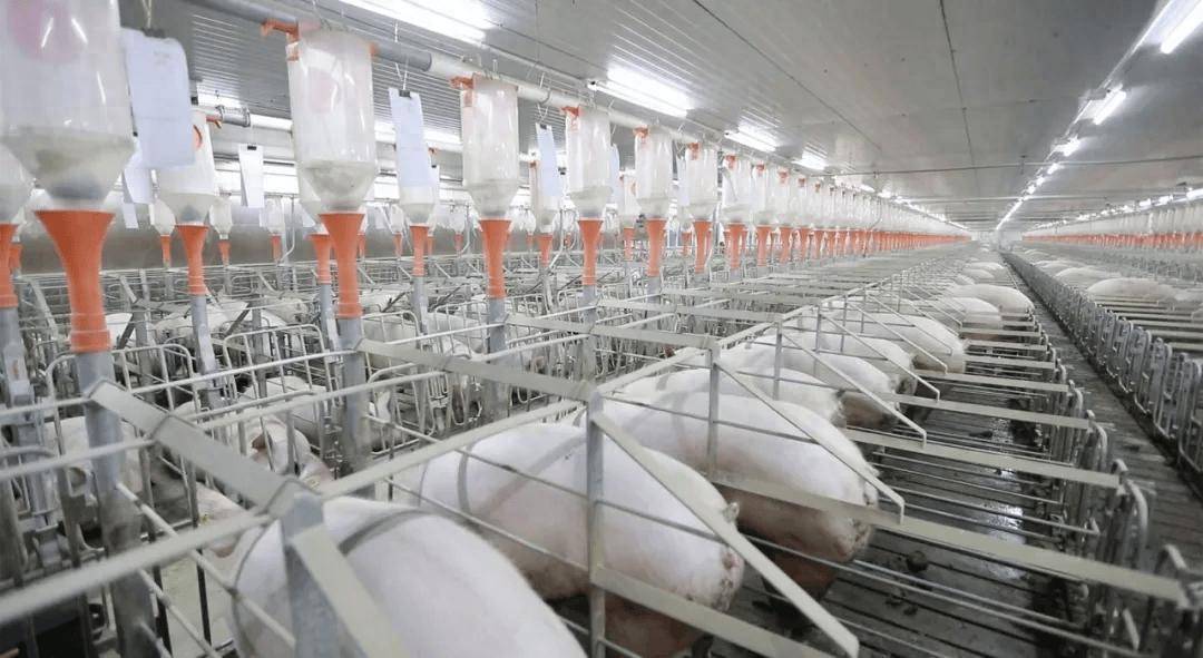 河钢股份成功发行公司首单科技创新公司债券