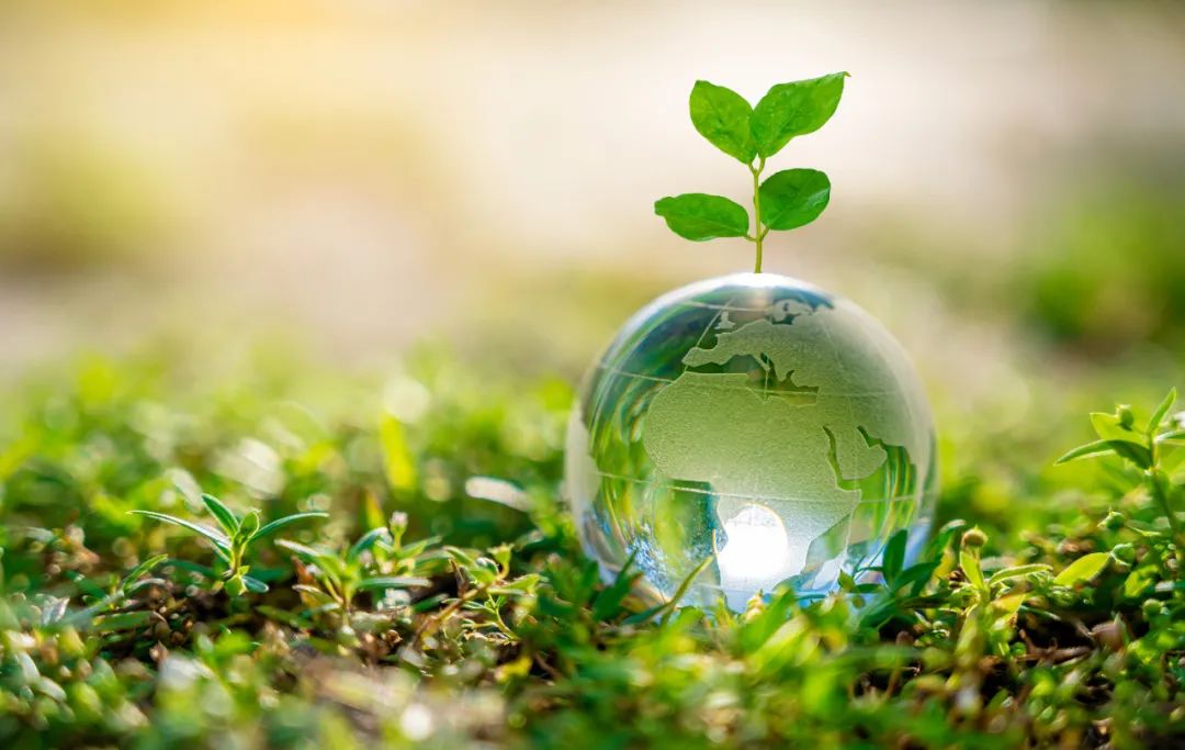 “产品+市场”为桥 上交所以创新实践构建绿色金融市场新生态