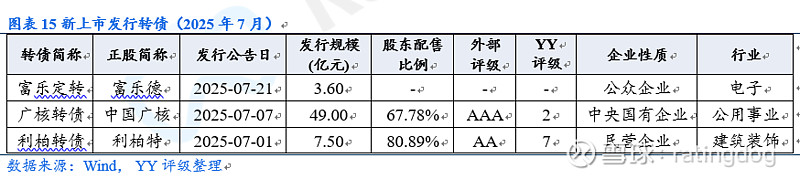 2025年 中国企业境外可转债发行金额有望创新高